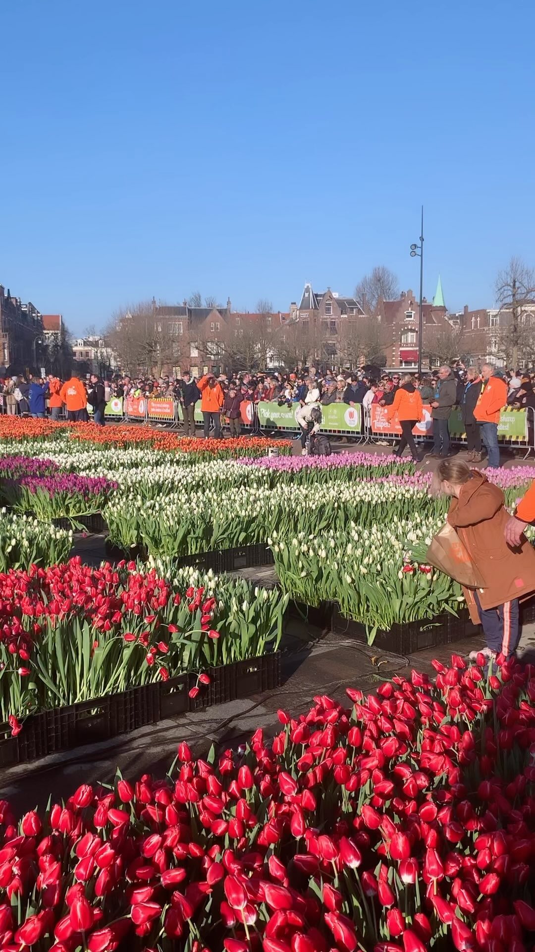 Route de la parade des fleurs Festival des Tulipes Amsterdam